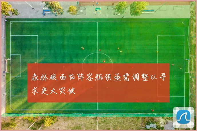 森林狼面临阵容瓶颈亟需调整以寻求更大突破