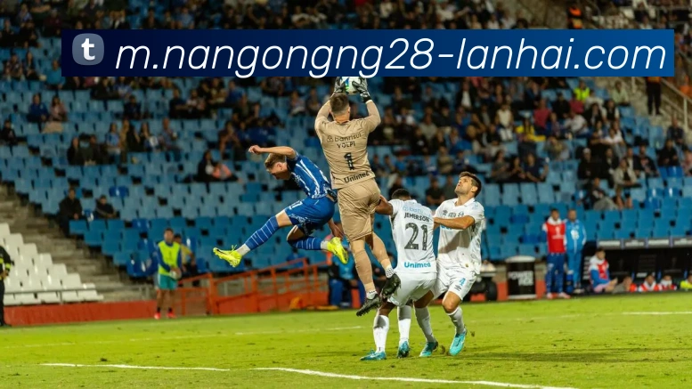 南宫NG28品牌故事